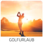 Golfhotels für den Golf Urlaub Mallorca