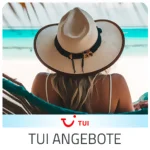 Trip Mallorca - klicke hier & finde Top Angebote des Partners TUI. Reiseangebote für Pauschalreisen, All Inclusive Urlaub, Last Minute. Gute Qualität und Sparangebote.